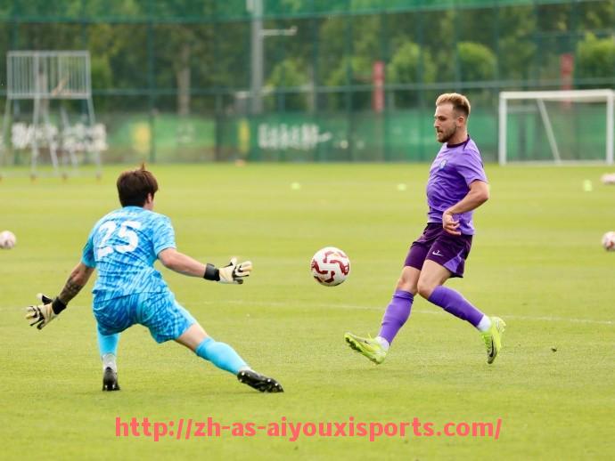 爱游戏体育官网-世俱杯中路渗透型球员传球成功率分析与战术价值评估