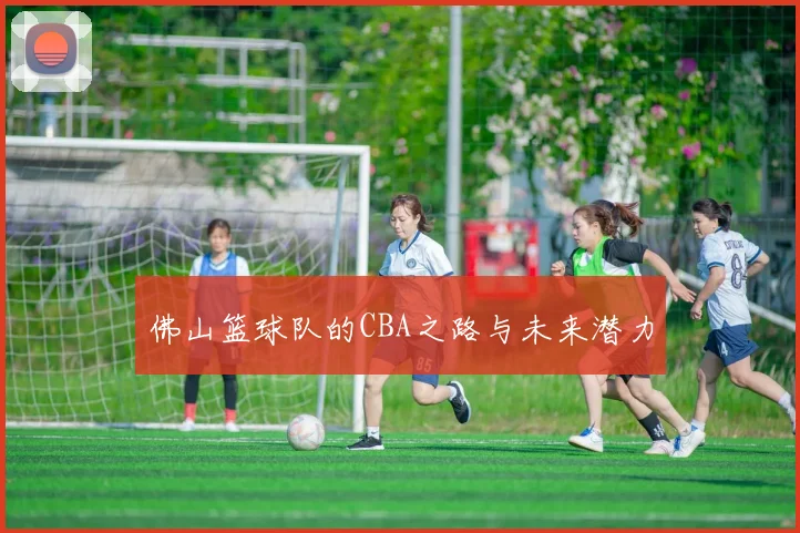 佛山篮球队的CBA之路与未来潜力