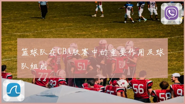 篮球队在CBA联赛中的重要作用及球队组成