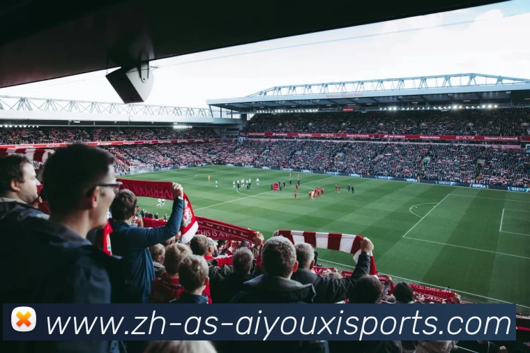 多媒体互动体验